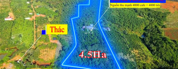 Gia Nghĩa, Đắk Nông bán đất giá bán đặc biệt 3.7 tỷ diện tích thực 45000m2-03