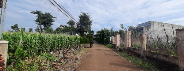 Giá bán chốt nhanh 1.92 tỷ bán đất có một diện tích là 312m2 vị trí đặt tọa lạc tại Buôn Ma Thuột, Đắk Lắk-02