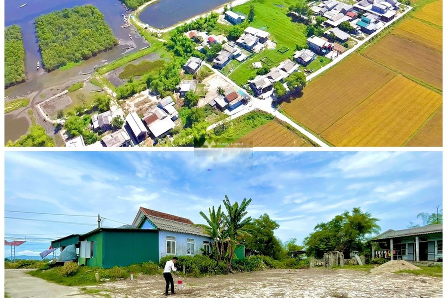 Vị trí thuận lợi tọa lạc ngay tại Quảng Điền, Thừa Thiên Huế bán đất, giá hữu nghị chỉ 445 triệu với diện tích 100m2-01