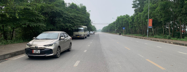 Bán 160m2 full thổ, đường thông ô tô, có thể phân lô tại Kim Chung, Đông Anh gần cầu Thăng Long -03