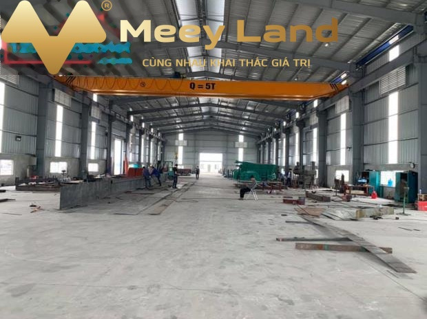 Cho thuê kho bãi tại Lai Cách, Cẩm Giàng, Hải Dương. Diện tích 1000m2, giá 45 triệu/tháng