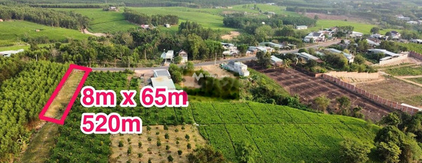 Bán khu đất 520m (8mx65m)mặt tiền đg 768, TT. Vĩnh An -03