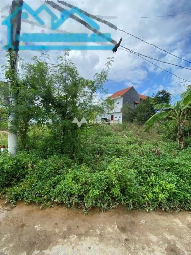 Nguyễn Tất Thành, Phú Bài bán đất giá bán thương mại chỉ 1.35 tỷ với tổng diện tích 118m2-01