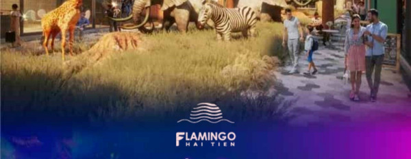 Căn hộ nghỉ dưỡng Flamingo, công nghệ 4.0 minh bạch trong quản lý tài sản-02