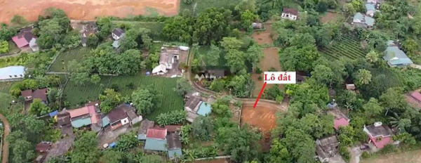 Bán đất giá 650 triệu, diện tích 1814m2 tại Thanh Sơn, Phú Thọ-03