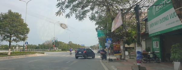 Lô nhỏ mặt đường to đường 353 Phạm Văn Đồng, Hợp Đức, Đồ Sơn, Hải Phòng 92,5m2 -02