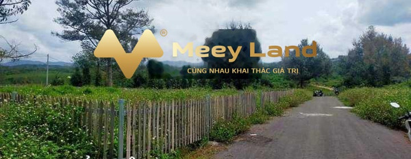 Tọa lạc ngay tại Bảo Lộc, Lâm Đồng bán đất, giá bất ngờ 2 tỷ, hướng Bắc có dt chung là 280 m2-03