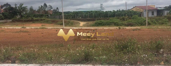 Bán đất tại Lộc Phát, Bảo Lộc, Lâm Đồng, Diện tích 144m2, giá 3 tỷ-03