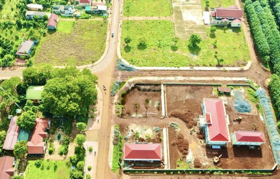 Bán mảnh đất 132m2 giá bán hiện tại 550 triệu vị trí ở Ea Tóh, Đắk Lắk giá tốt nhất-01