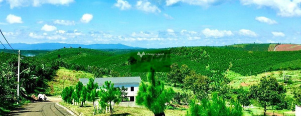 Lộc Ngãi, Lâm Đồng 1,9 tỷ bán đất có diện tích tổng 665m2-03