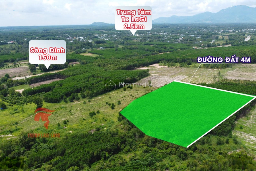 1.1 tỷ bán đất có diện tích sàn 1000m2 vị trí đặt tại trung tâm La Gi, Bình Thuận-01