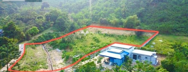 Giá 2.2 tỷ bán đất diện tích gồm 3300m2 nằm ngay Kim Bôi, Hòa Bình-03