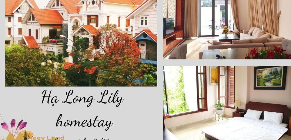 Cho thuê Hạ Long Lily homestay Bãi Cháy