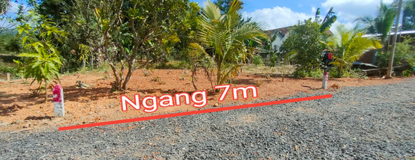 Bán đất Khánh Đông giá rẻ có thổ cư gần Tỉnh lộ 8-02