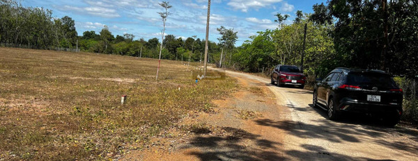 Lộc Hưng, Bình Phước 359 triệu bán đất với diện tích thực 300m2-02