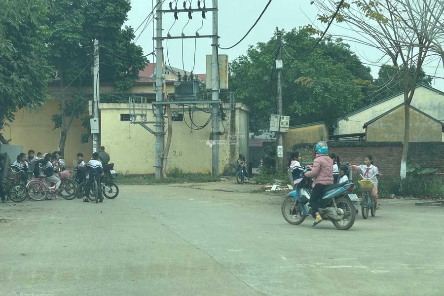 Bán đất tại Đông Yên, Hà Nội. Diện tích 276m2-01