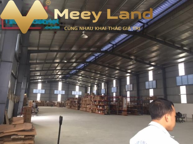 Cho thuê kho xưởng 1600m2 tại khu công nghiệp Nam Thăng Long, Từ Liêm, Hà Nội
