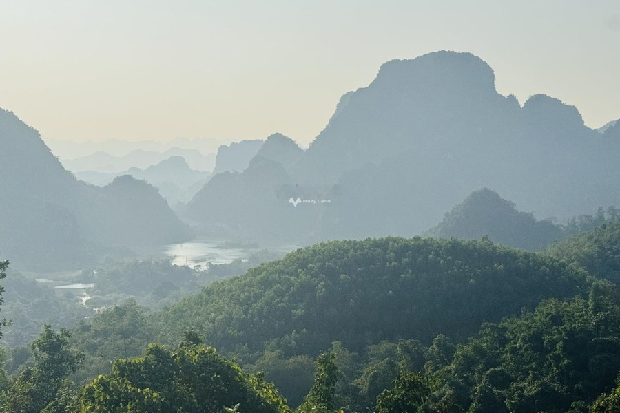 Cao Phong, Hòa Bình bán đất giá bán khuyến mãi 380 triệu diện tích mặt tiền 19000m2-01