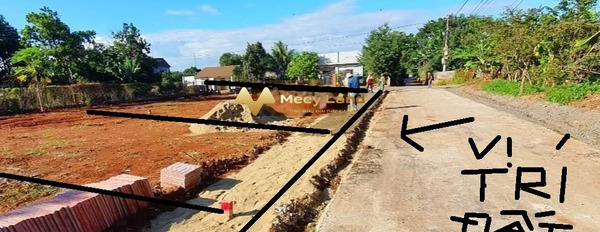 Bán đất có diện tích 250m2, 600 triệu-03