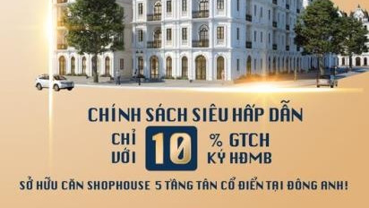 Vị trí tiềm năng Đông Anh, Hà Nội bán nhà giá bán thỏa thuận 11.6 tỷ có diện tích rộng 108 m2 căn nhà gồm có tất cả 5 phòng ngủ tin chính chủ-03