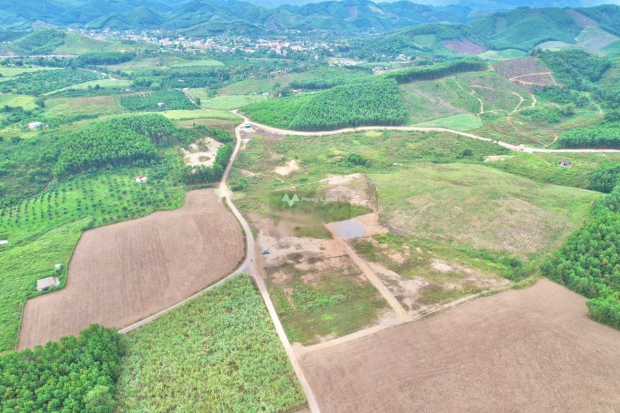 Khánh Vĩnh, Khánh Hòa 1.65 tỷ bán đất với tổng diện tích 1000m2-01