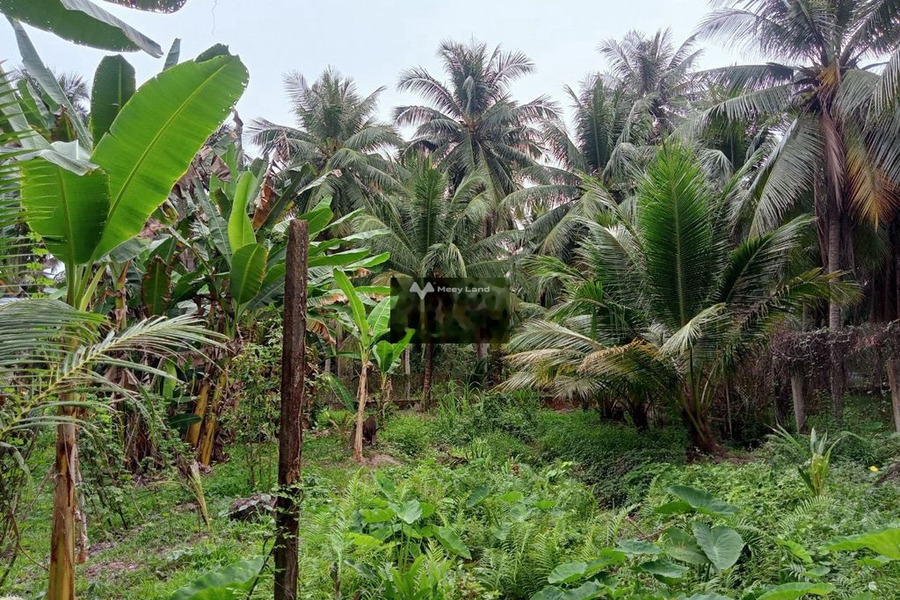 Tân Phú, Tân Phú Đông 600 triệu bán đất có một diện tích sàn 1350m2-01