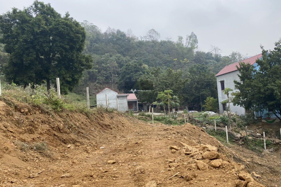 Lương Sơn, Hòa Bình bán đất giá rẻ bất ngờ 4.8 tỷ diện tích khoảng 5030m2-01