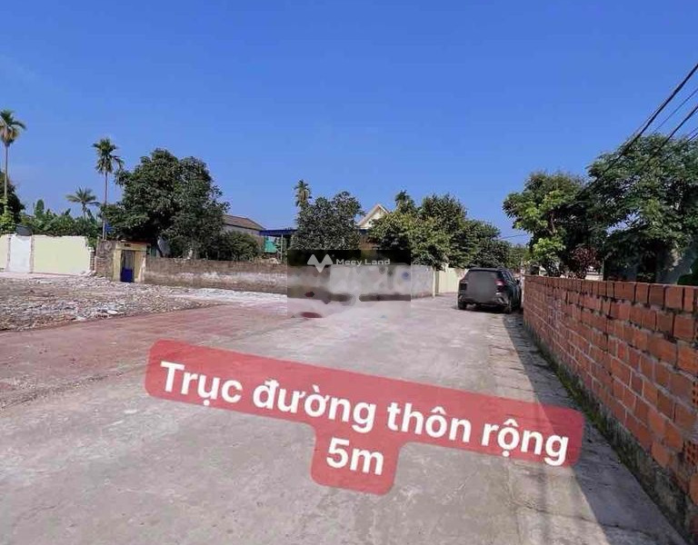 Bán đất 1.1 tỷ Cao Nhân, Hải Phòng với diện tích tiêu chuẩn 131m2-01