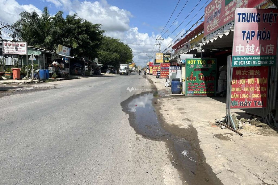 Bán đất 3.6 tỷ Phước Đông, Tây Ninh diện tích thực dài 3181m2-01