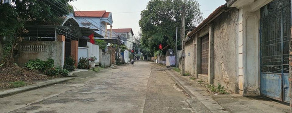 Cần bán đất huyện Bình Xuyên, tỉnh Vĩnh Phúc giá 1 tỷ-02