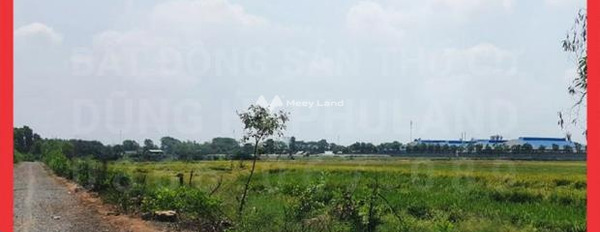 Giá chính chủ 40 tỷ bán đất với diện tích rộng 3100m2 Phía trong Nguyễn Thị Thử, Xuân Thới Sơn-03
