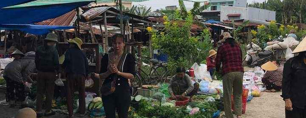 Cần bán nhà riêng huyện Tuy Phước, tỉnh Bình Định giá 1 tỷ-02