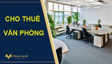 Cho thuê văn phòng tại số 88 Phạm Ngọc Thạch, Đống Đa, Hà Nội