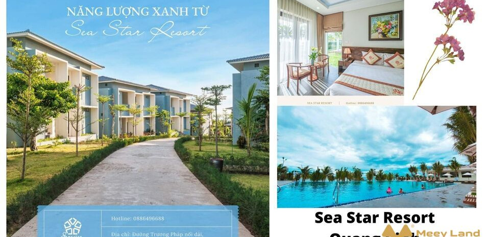 Cho thuê homestay tại Sea Star Villa Quảng Bình. Diện tích 57m2