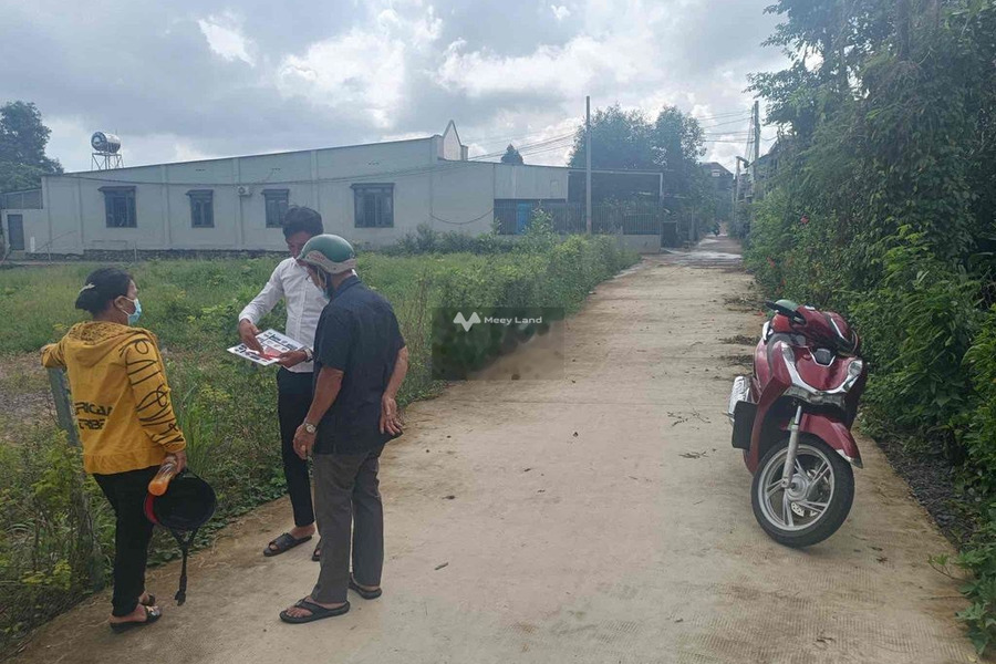 Ngay tại Nguyễn Hoàng, Cây Gáo bán đất giá bán khủng 197 triệu diện tích là 100m2-01