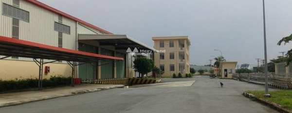 Thiện chí cho thuê kho bãi Có tổng diện tích 1100m2 tọa lạc ngay Đức Hòa, Đức Hòa thuê ngay với giá giao lưu chỉ 40 triệu/tháng gọi ngay!-02