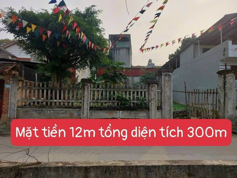 Bán nhà riêng huyện Yên Lạc tỉnh Vĩnh Phúc giá 3.0 tỷ-0
