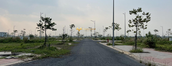 Bán đất tại Paradise Riverside Biên Hòa, Đồng Nai, giá 1,35 tỷ, diện tích 80m2-03