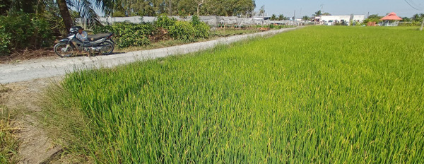 Kẹt tiền cần bán đất Long Khê,Long An 5 công đất trồng lúa-02