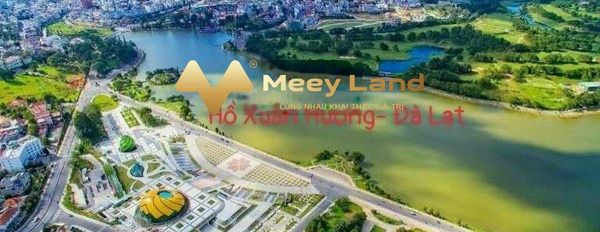 Bán đất tại Ngô Quyền, Di Linh, Lâm Đồng. Diện tích 300m2, giá 390 triệu-02