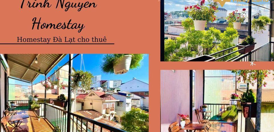 Cho thuê Trinh Nguyen Homestay