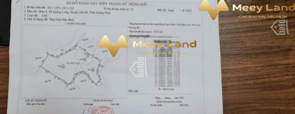 Bán đất 4000m2, vị trí đặt tọa lạc tại Quảng Long, Quảng Ninh-03