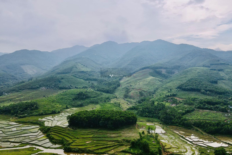 Do vấn đề tài chính bán mảnh đất, 268m2 giá siêu ưu đãi 3.22 tỷ vị trí đẹp ngay Kim Bôi, Hòa Bình hỗ trợ mọi thủ tục miễn phí-01