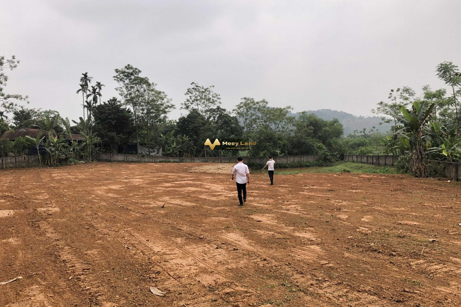 Giá 7.5 tỷ bán đất dt sàn là 3000m2 vị trí đẹp tọa lạc ngay ở Xã Vân Hòa, Hà Nội-01