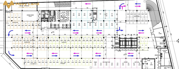 Cho thuê 2000, 5000m2 kho tại hầm B1 của Toyota Hoài Đức-03