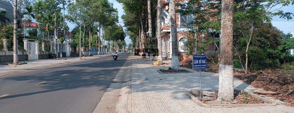 Vị trí ngay Nguyễn Hữu Cảnh, Đồng Nai bán đất giá hấp dẫn từ 55 tỷ diện tích chuẩn 1000m2-02