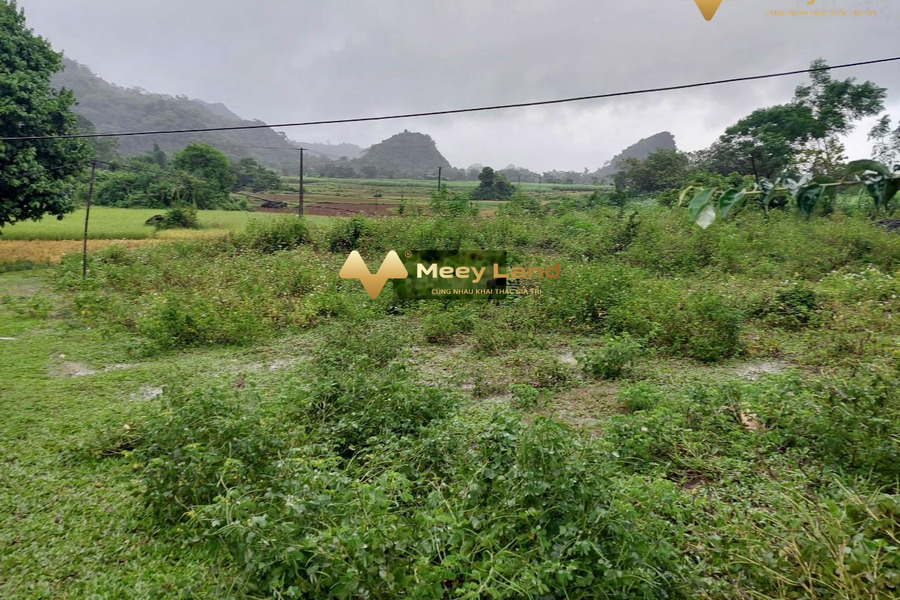 Bán đất diện tích nền 830m2 xã Phú Vinh, tỉnh Hòa Bình, giá 500 triệu-01