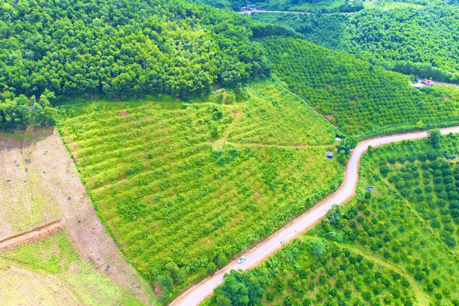 Vị trí ngay ở Kim Lập, Hòa Bình bán đất giá công khai chỉ 5 tỷ diện tích dài 23000m2-01