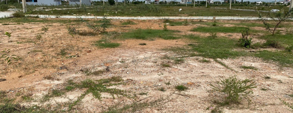 Bán đất khu quy hoạch Hói Sen, bề ngang 12m, giá 19,5 triệu/m2-03