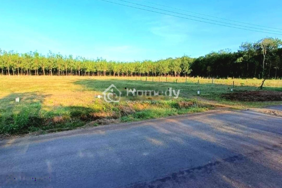Cần bán lô đất 250m2 Lộc Ninh, Bình Phước 499 triệu-01